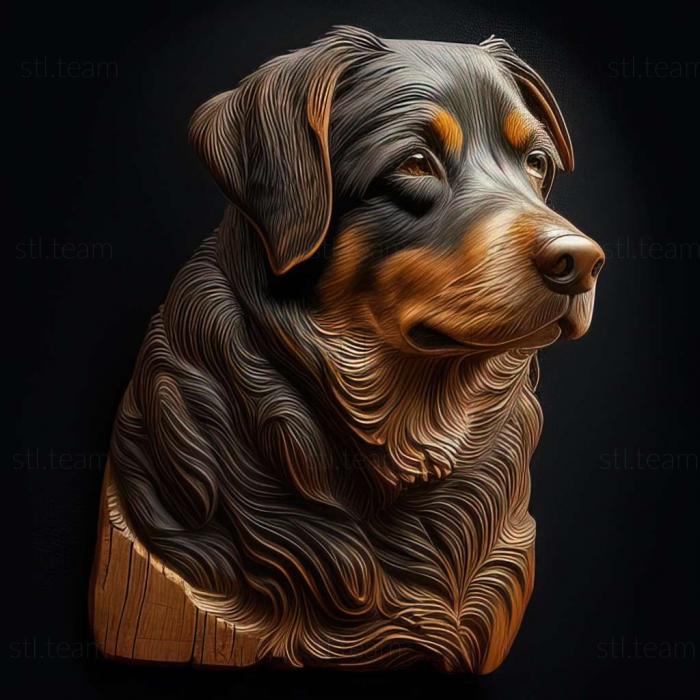 3D model Appenzeller sennenhund dog (STL)